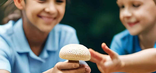 Hongos adaptógenos en niños y su consumo Unruled