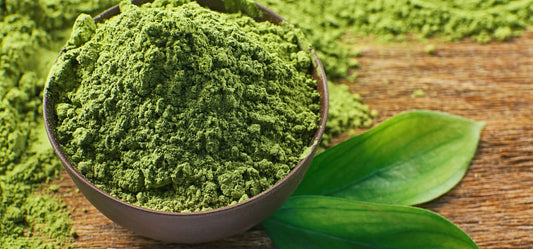 Matcha