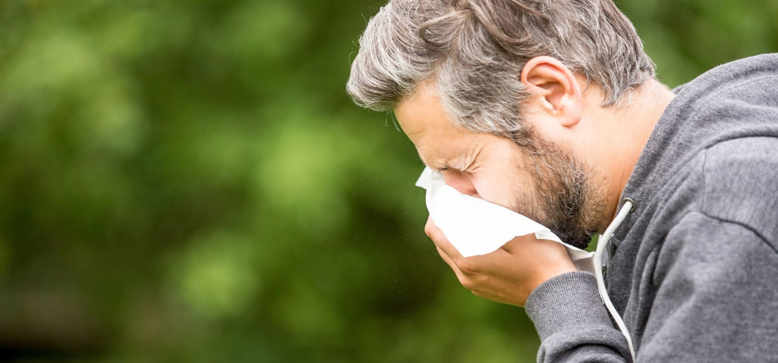 Reishi beneficios… tu protector contra las alergias