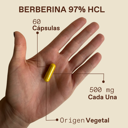 Berberina
